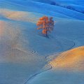 1142 - rime - PODOBNIK Rafael - slovenia